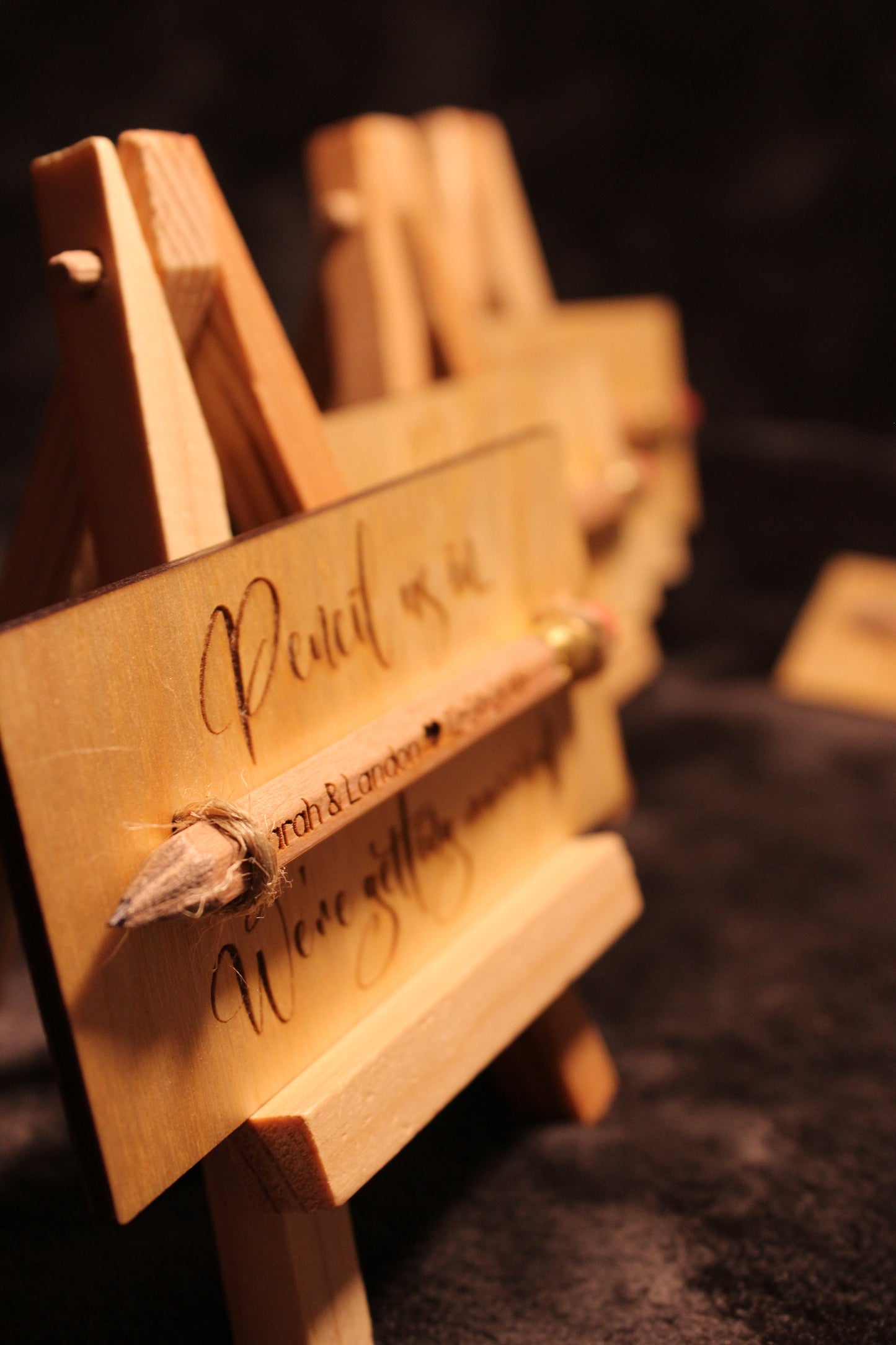 Pencil Us In Save the Date